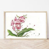 Print watercolor orchid flowers, pink flowers, illustrations, paintings, wall decorations, watercolors