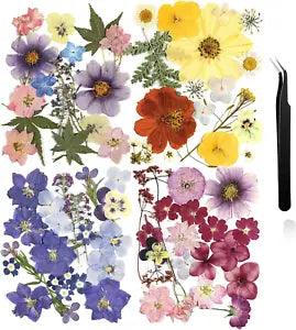 Pressed Flowers Resin Flowers for Resin Mold, Real Daisy Dried Flower Leaves Nat