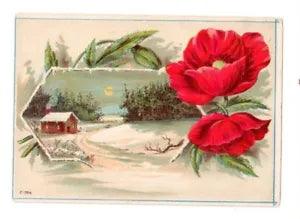 Lion Coffee Woolson Spice Toledo Ohio Victorian Trade Card Peony Flowers Winter