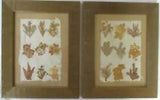 PAIR VINTAGE BARCLAY & BODIE LONDON WOOD FRAMED DRIED FLOWERS