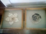 Framed Paper Flowers