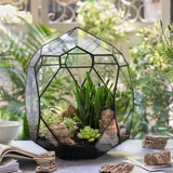 NCYP Irregular Open Geometric Glass Terrarium Bubble Shape Succulents Planter Pot Miniature Dessert Landscape Bonsai Orchid Container