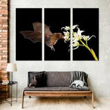 Flying Bat in Dark Night Wall Art Bat Canvas Extra Large Wall Art Bat Print Canvas Bat Art Wild Mammal Print Multi Pieces of Canvas Artwork