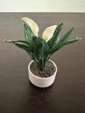 Dollhouse Miniature Artisan Handcrafted  Peace Lily Plant  1:12