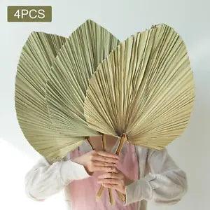 4 Pieces Dried Palm Leaves  Leaves Decor Dried Palm Fans for Birthday