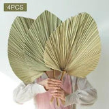 4 Pieces Dried Palm Leaves  Leaves Decor Dried Palm Fans for Birthday