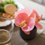Artificial Flower Mini Real Touch Orchid in Pot Pink