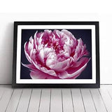 Astonishing Peony Flower Framed Wall Art Poster Print Home Decor Picture Large