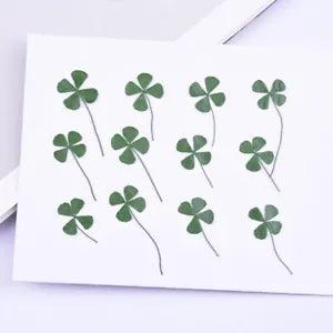 12PCS Real Pressed Dry leaf, four leaves, clover with stem for art DIY FCD62