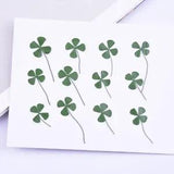 12PCS Real Pressed Dry leaf, four leaves, clover with stem for art DIY FCD62