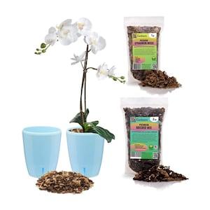 Gardenera Premium Orchid Growing Kit- Self-Watering Orchid Wicking Planters w/ Water Level Indicator + Orchid Soil Mix + Sphagnum Moss