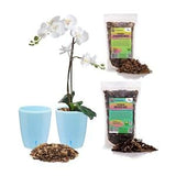 Gardenera Premium Orchid Growing Kit- Self-Watering Orchid Wicking Planters w/ Water Level Indicator + Orchid Soil Mix + Sphagnum Moss