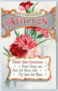 RED CARNATION Verse Poem "AFFECTION"  ca 1910s Flower Postcard