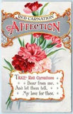 RED CARNATION Verse Poem "AFFECTION"  ca 1910s Flower Postcard
