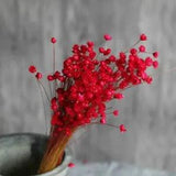 Natural Floral Branches Bouquet Colorful Dried Daisy Blossom Home Decoration Red