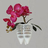Eve Hanging Orchid Planter