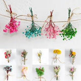 1PC Backdrop Decor Fresh Preserved Mini Natural Dried Flowers Flowers Bouquet ca