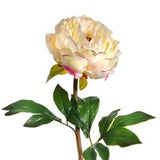 Real Touch Peonies Farmhouse Decor French Country WildFlowers Artificial Flowers Craft Supplies Wedding Bouquets Flower Arranging Supplies