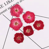 30PCS real Pressed dry rose flowers for art craft, pink and red FCD23