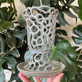 Light Blue Celadon Pedestal Orchid Planter Pot with Holes and Optional Saucer