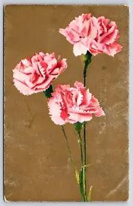 Pink Flowers Pink Carnations Vintage Postcard