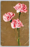 Pink Flowers Pink Carnations Vintage Postcard