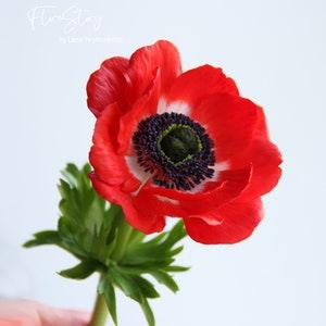 Real touch anemone  for home decor and interior, Cold Porcelain Flowers, Botanical sculpture, Artificial flower