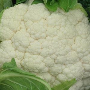Cauliflower seeds , code 149