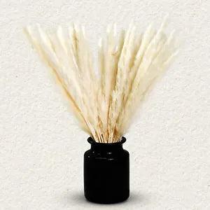 Real Cream White Pampas Grass Decor, Pc. Bundles, 17.7" Fluffy Reeds.