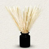 Real Cream White Pampas Grass Decor, Pc. Bundles, 17.7" Fluffy Reeds.