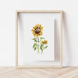 Sunflower Watercolour Painting, Pretty Flower Painting, Floral Art, Sunflower Art, Pretty Art, Sunflower Painting