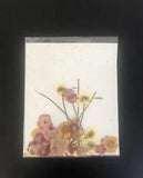 Vintage Pressed Dried Flowers Loose Mixed Lot