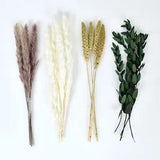 20Pcs Dried Rabdosia Bouquet Flower Eucalyptus Grass Dried Flower DIY Home Decor