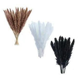 Dried Pampas Grass Reed Flower Bouquet Home Living Room Table Decor
