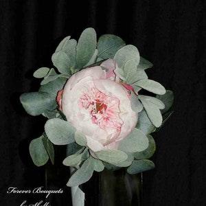 Single peony Bridesmaids bouquet with Blush Peony bouquet with sage Lambs ear and Silver Dollar Eucalyptus.