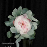 Single peony Bridesmaids bouquet with Blush Peony bouquet with sage Lambs ear and Silver Dollar Eucalyptus.