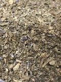 No.33 Herbal Blend - Wild Lettuce Lavender Passionflower Leaf Mullein - 1 Ounce