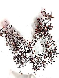 Dried Weathered Berries Stems Orange/White Crafts Decor Natural