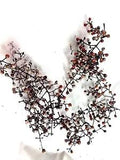 Dried Weathered Berries Stems Orange/White Crafts Decor Natural