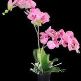 Artificial Phalaenopsis Orchid Plant, Silk Flowers CORAL