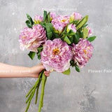 Dried Look Huge Peony with Bud Stem | High Quality Artificial Flower | DIY Floral | Wedding/Home Decoration | Gifts - Light Purple