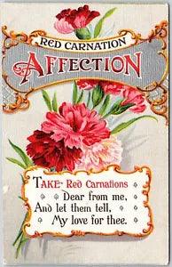 1911 Red Carnation Affection Flower Bouquet Greeting Wishes Card Posted Postcard