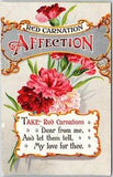 1911 Red Carnation Affection Flower Bouquet Greeting Wishes Card Posted Postcard