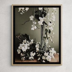 White orchid color photograph print