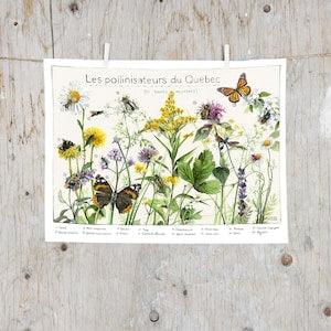 Print Pollinating Insects and Honey Plants | Science poster | Natural History Art | Poster identification classification Bugs Insect