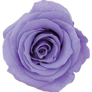Large Lavender Roses Japanese Preserved, DIY Flower Arrangements, Wedding Decorations, Rose Gift