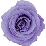Large Lavender Roses Japanese Preserved, DIY Flower Arrangements, Wedding Decorations, Rose Gift