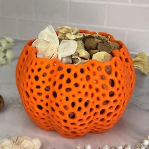 Pumpkin Fall Halloween Pot Orchid Pot Orchid Planter Orchid Mesh Pot
