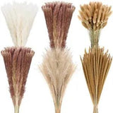 360Pcs Natural Dried Pampas Grass Decor Pampas Grass Bouquet for Flower ArrF8