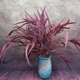 Nature Preserved Eucalyptus Millet Leaf Floral Dry Plant Wedding Home Decoration